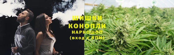 эйфоретик Верея