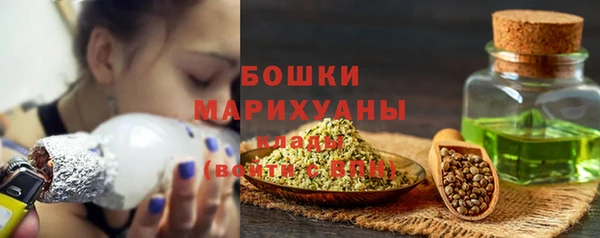 молекула духа Волосово