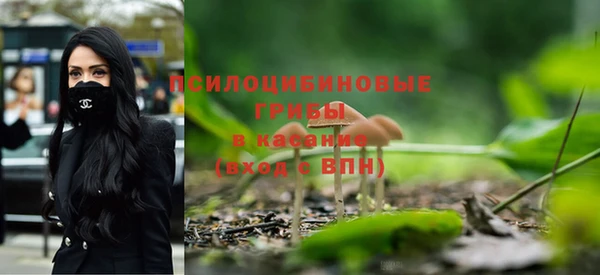 ГАЛЛЮЦИНОГЕННЫЕ ГРИБЫ Бородино